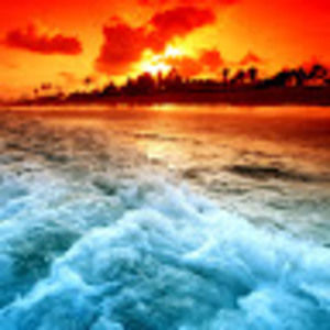 Meet your Posher, Rachelle